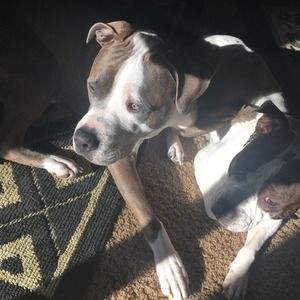 Meet your Posher, Xavier